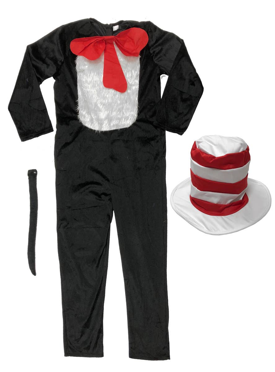 Cat in the Hat Boys Costume - Size Teen
