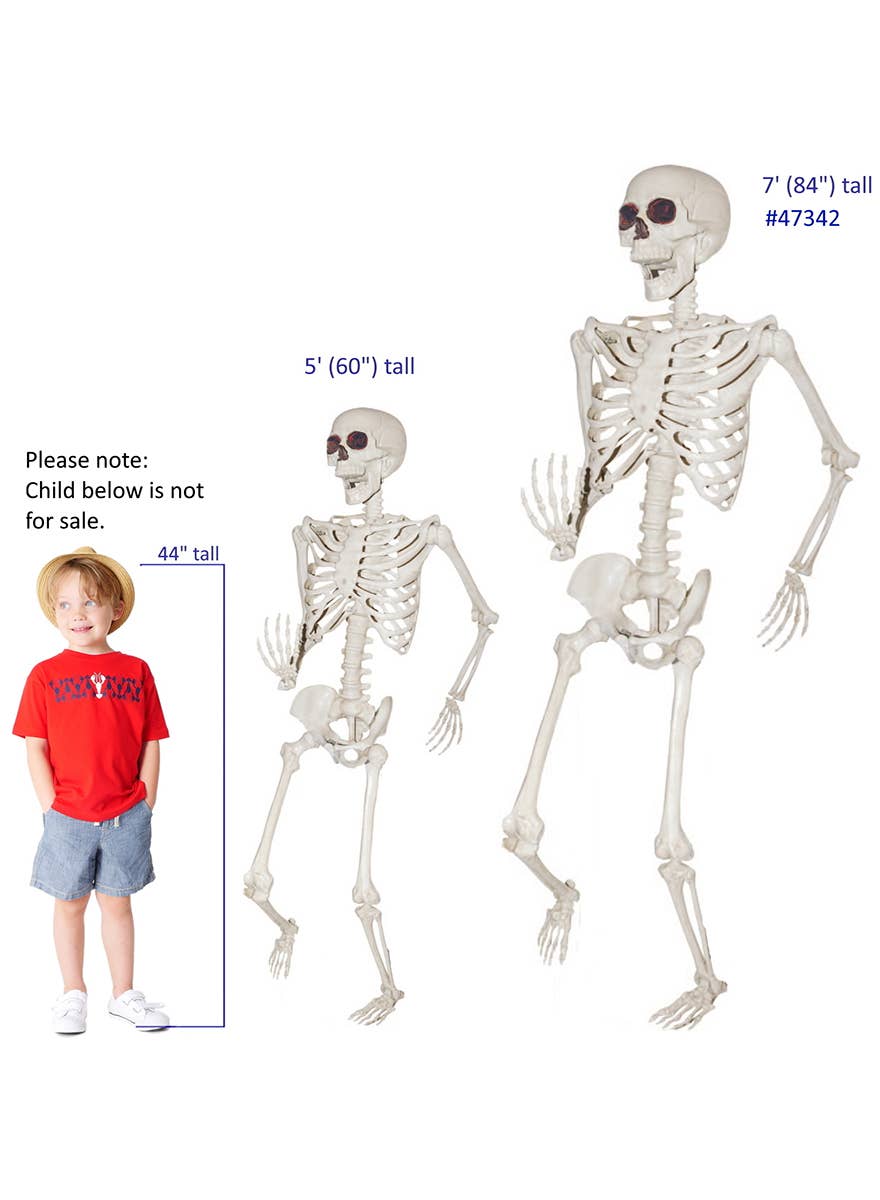 7 Foot Posable Human Skeleton Halloween Decoration - Alternate Image