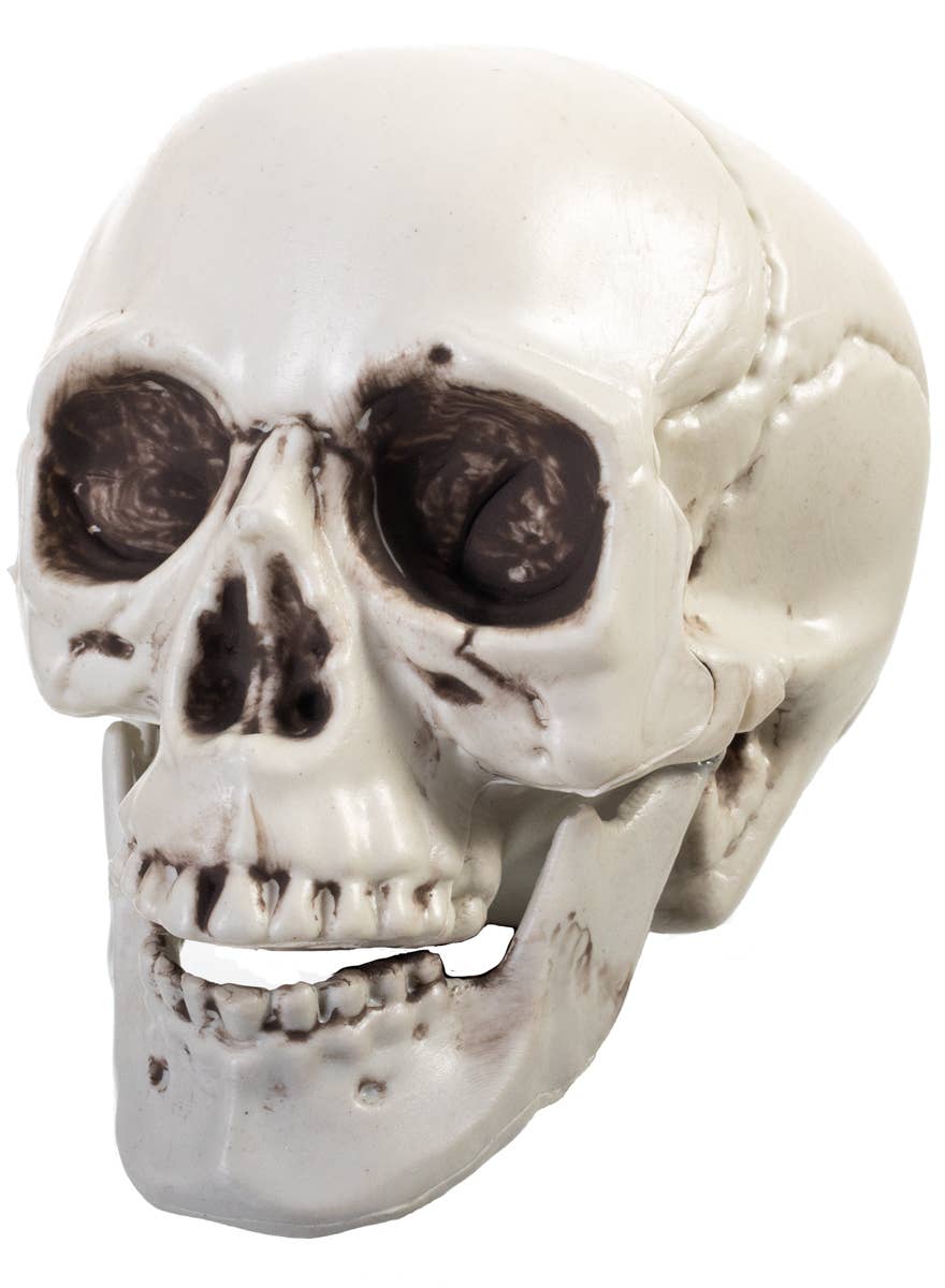 White Plastic Table Top Skull Halloween Decoration