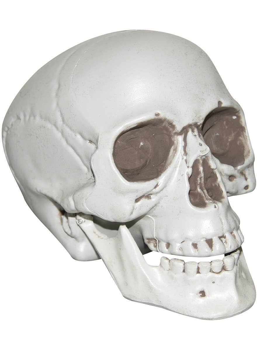 White Plastic Human Skull Halloween Decoration