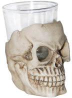 Novelty Plastic Human Skull Head Shot Glass