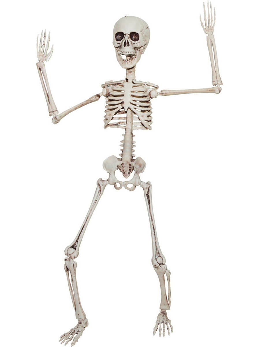 Pose and Move Small Plastic Human Skeleton Halloween Decoration