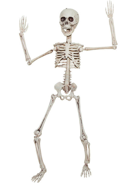 Pose and Move Small Plastic Human Skeleton Halloween Decoration