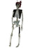 Hanging 41cm Skeleton in a Pirate Outfit Halloween Decoration