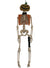 Hanging 41cm Skeleton with an Orange Pumpkin Head Halloween Decoration