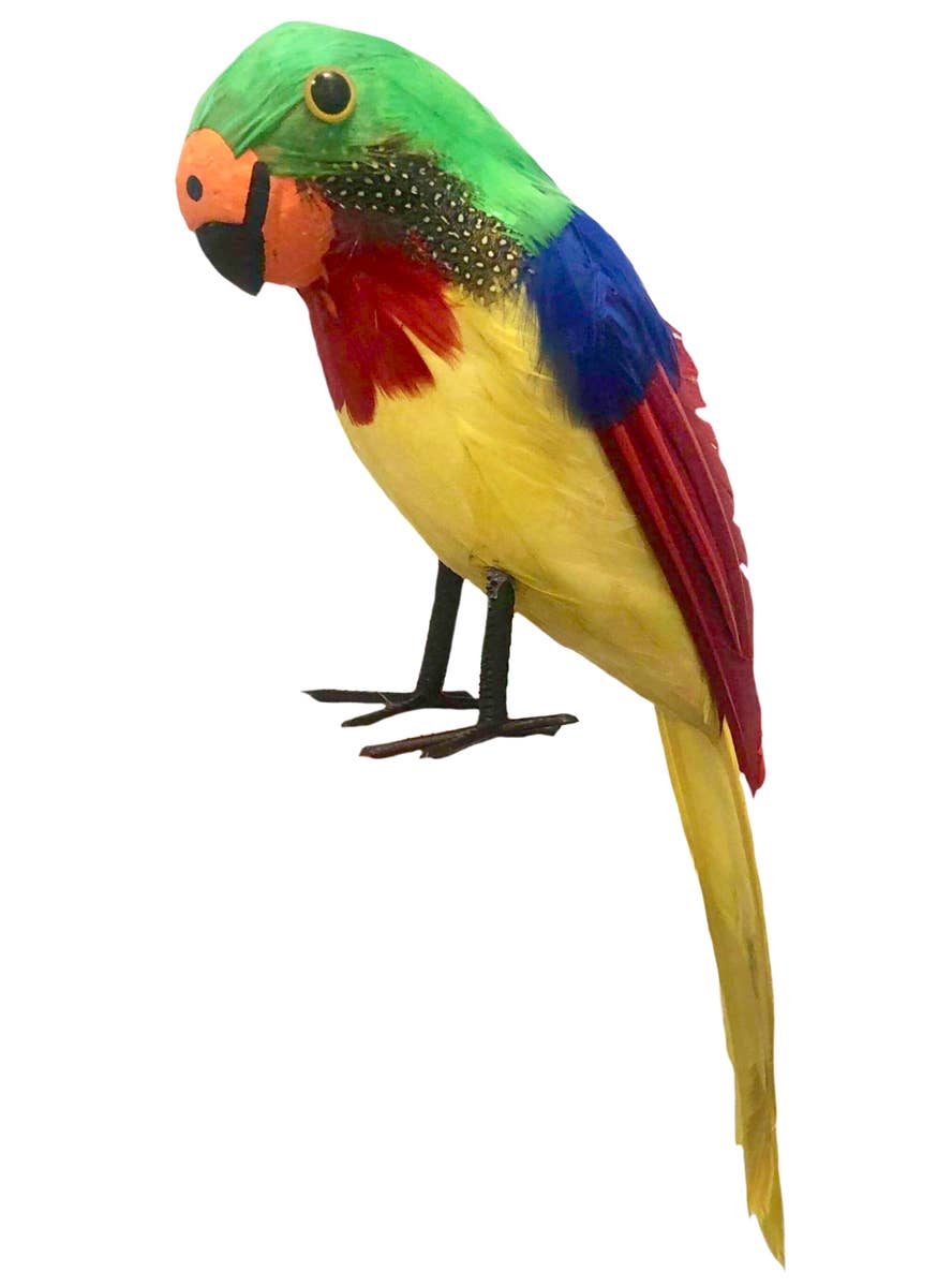 Large Life Size Parrot Accessory