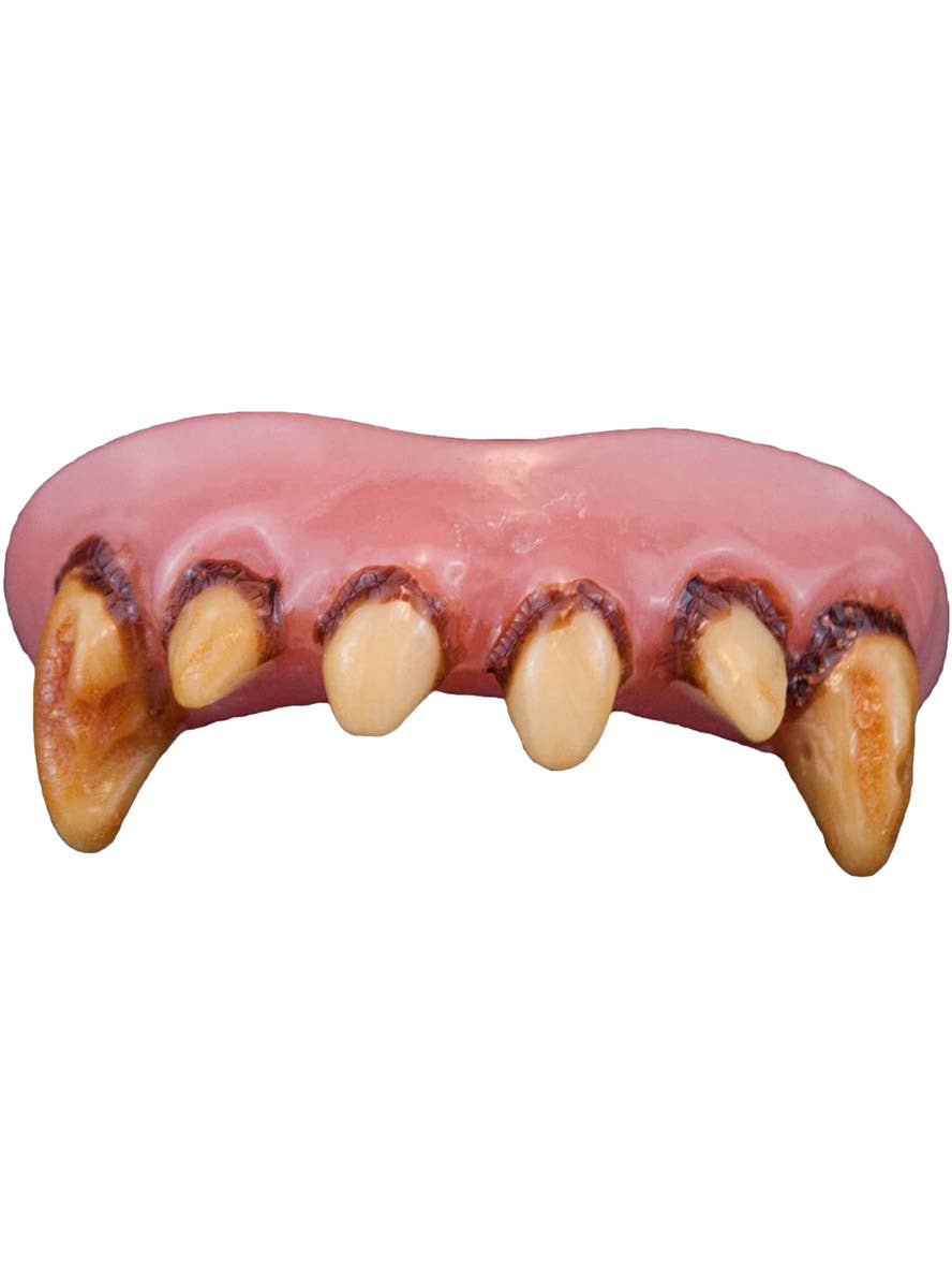 Image of Halloween Accessory Werewolf Fangs Custom Fitting Costume Teeth