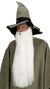 Men's Long White Wizard Beard and Moustache Costume Accessory