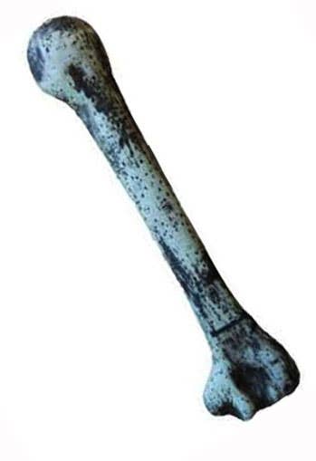 Caveman Bone Adults Prehistoric Costume Accessory