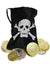 Pirate Skull and Crossbones Treasure Pouch and Coins Costume Accessory Set Main Image