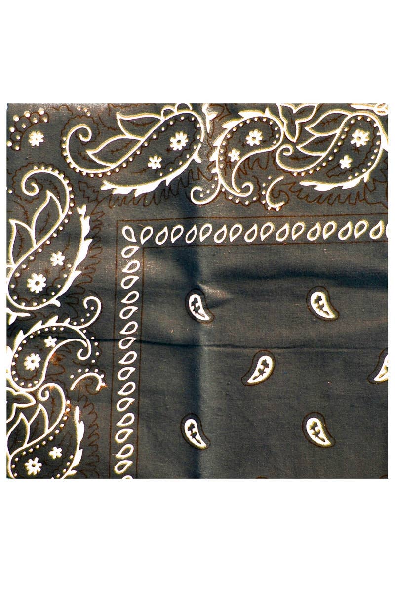 Brown and White Wild West Cowboy Bandana Costume Accessory - Alt Image