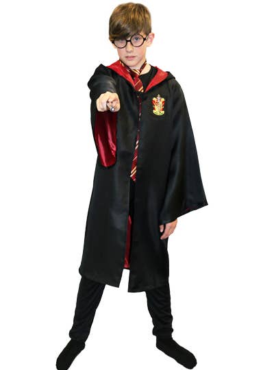 Boys Gryffindor Wizard School Robes Costume Main Image