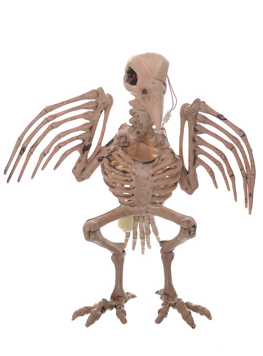 Crow Skeleton Prop with Light Up Eyes