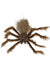 Moving Brown Spider Decoration with Lights and Sounds