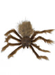 Moving Brown Spider Decoration with Lights and Sounds