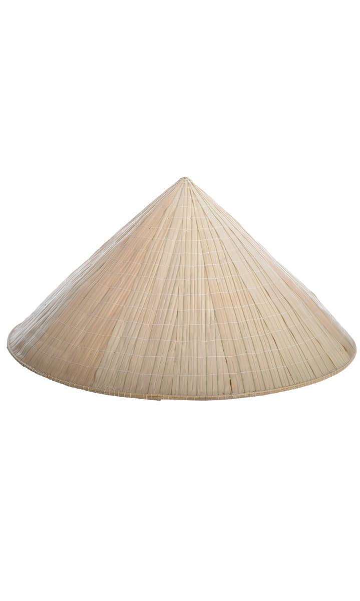 Novelty Bamboo Straw Rice Hat - Main Image