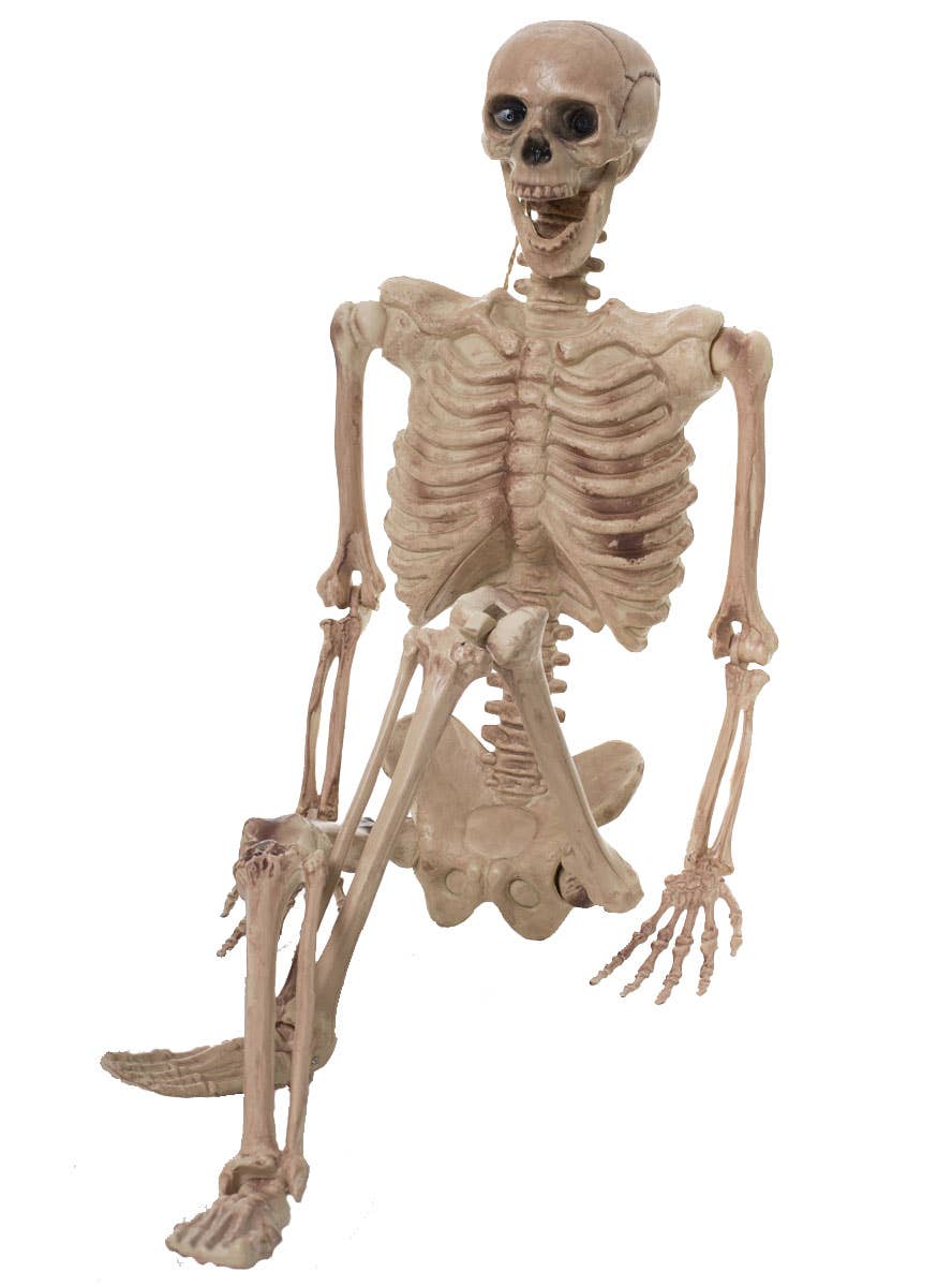 Hanging and Pose-able Life Size Skeleton Halloween Prop View 2