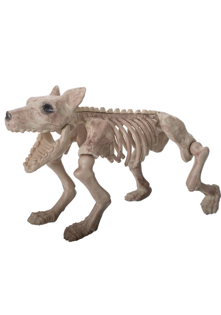 Large Plastic Skeleton Dog Halloween Decoration