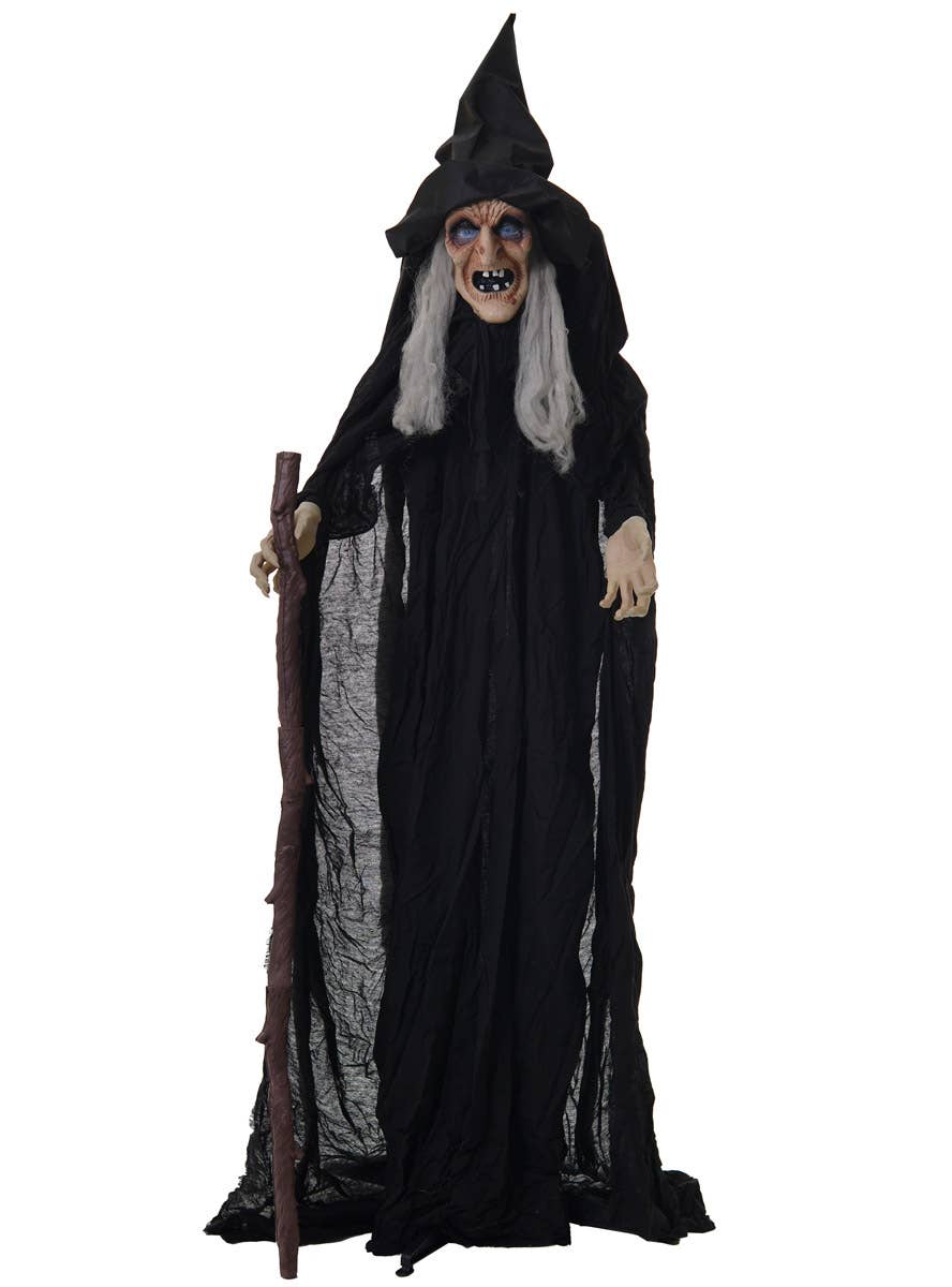 Animated Standing Old Witch Hag Halloween Decoration - Alternate Image 1