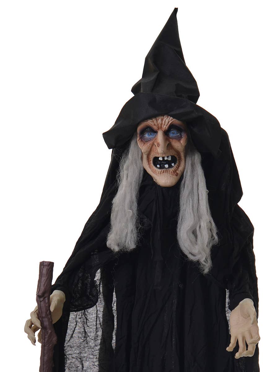 Animated Standing Old Witch Hag Halloween Decoration - Alternate Image 2