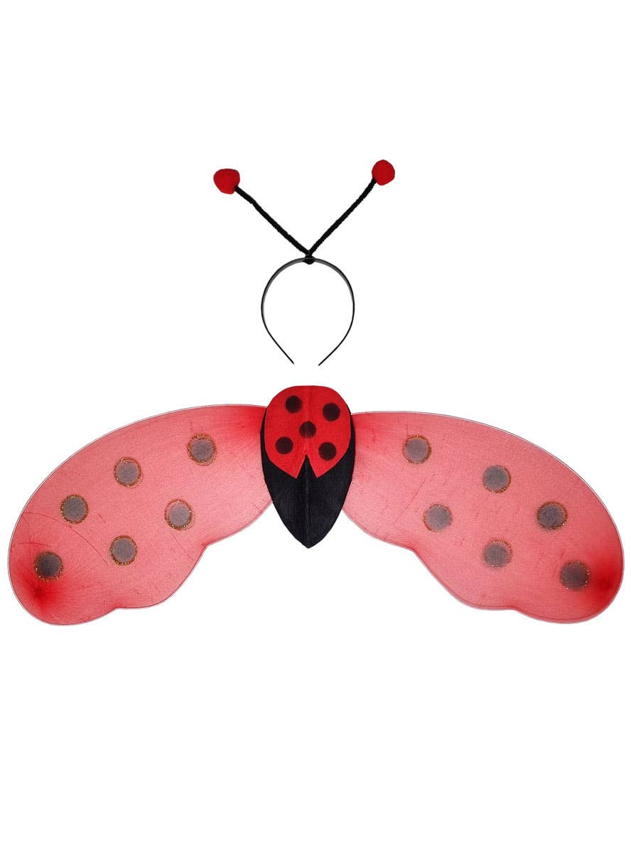 Red and Black Ladybug Wings and Antennae Accessory Set - Main Image