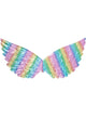 Rainbow Holographic Wings - Main Image