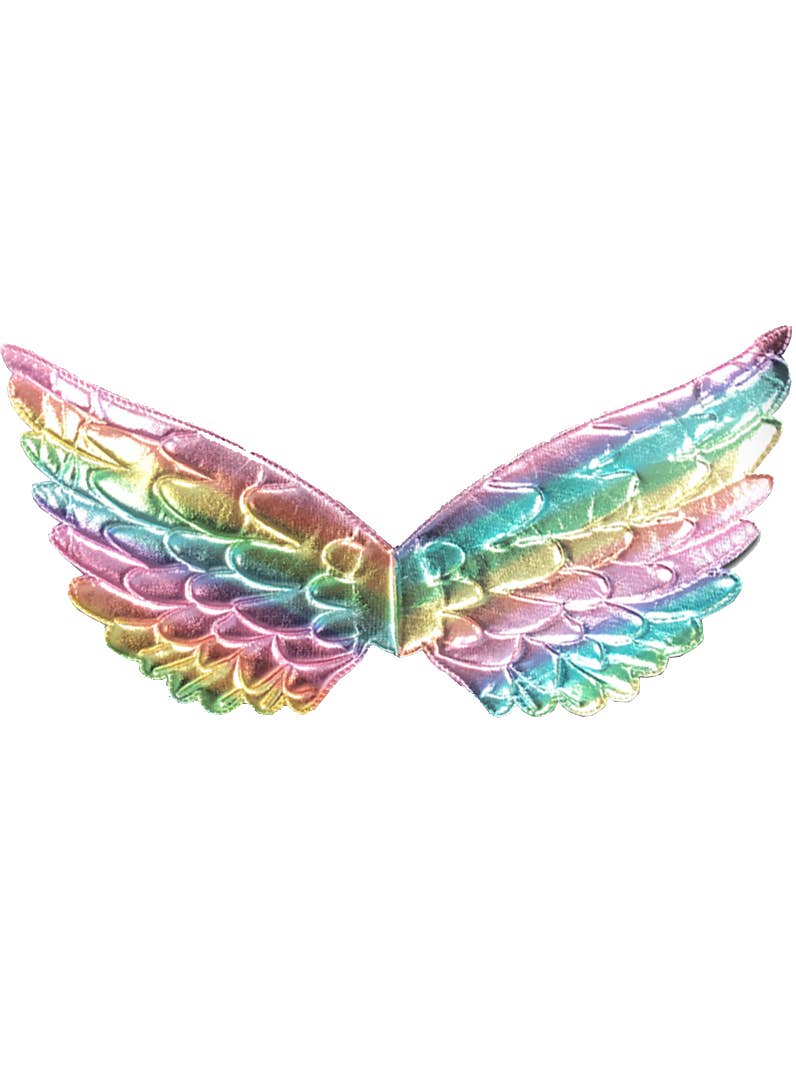 Rainbow Holographic Wings - Alternative Image