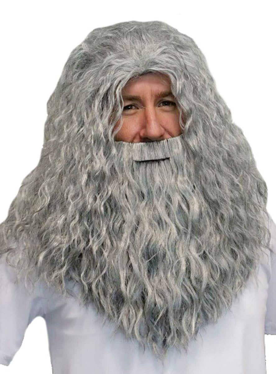 Grey Wizard Beard and Costume Wig Set