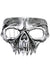 Silver Half Face Skull Halloween Costume Mask