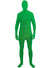 Image of Adults Green Skin Suit Costume