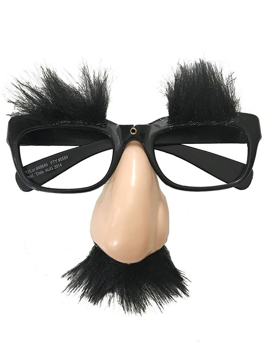 Novelty Glasses with Fake Nose Nose and Glasses Costume Accessory