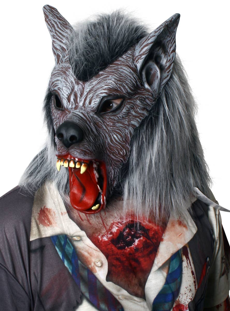 Furry Grey Full Head Snarling Werewolf Halloween Costume Mask for Adults