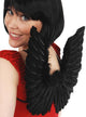 Small Black Feather Angel Wings with Silver Tinsel Main Image