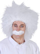Fuzzy White Men's Scientist Costume Wig And Moustache Set