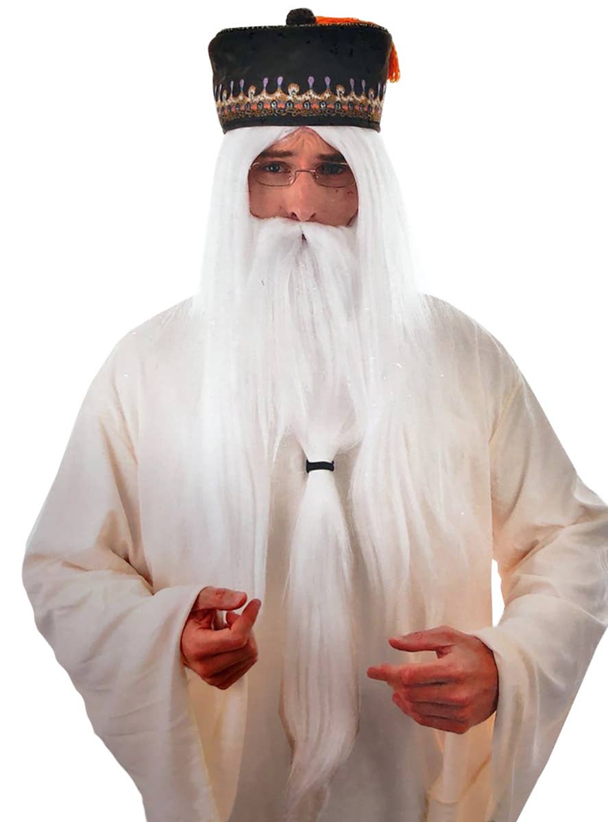Long White Wizard Wig and Beard Set