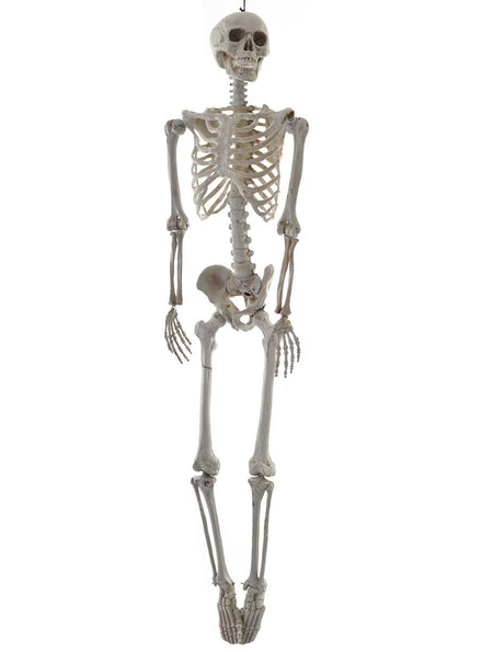 160cm Life Size Hanging Skeleton Haunted House Prop Front Image