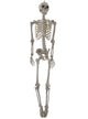 160cm Life Size Hanging Skeleton Haunted House Prop Front Image