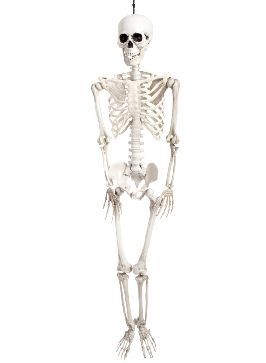 White Human Skeleton Halloween Prop