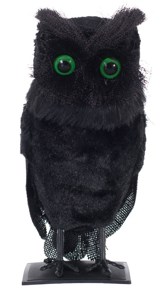 Screeching Midnight Owl Halloween Decoration with Sound and Lights Main Image