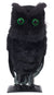 Screeching Midnight Owl Halloween Decoration with Sound and Lights Main Image