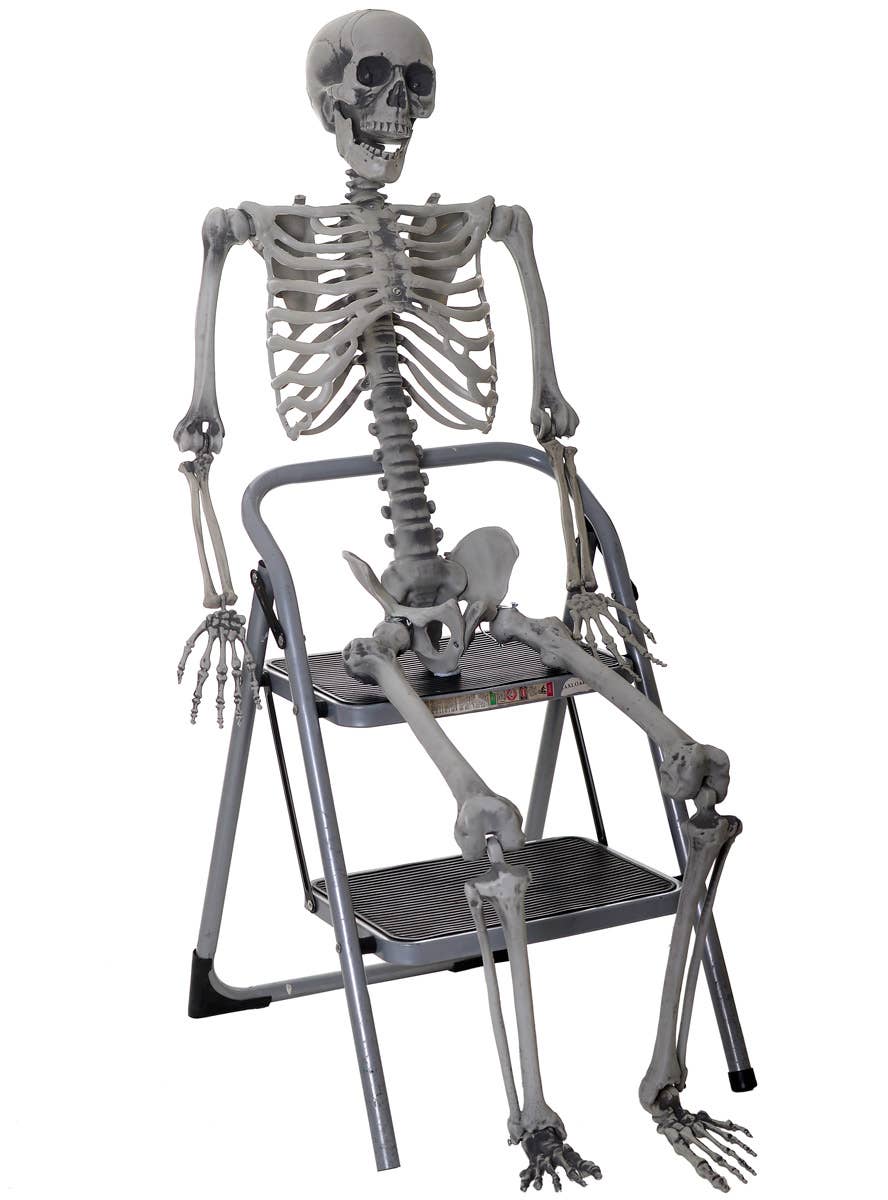 Life Size Skeleton Prop with Light Up Eyes - Main Image