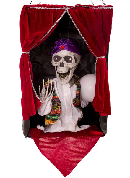 Fortune Teller Animated Motion Activated Decoration