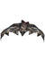 80cm Large Brown Bat Hanging Halloween Prop - Main Image