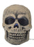 Skull Head with Rainbow Strobing Lights Halloween Prop Product Image