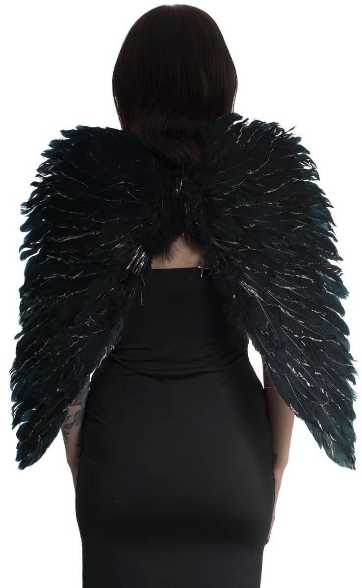 Black and Silver Feather Costume Accessory Wings Main Image