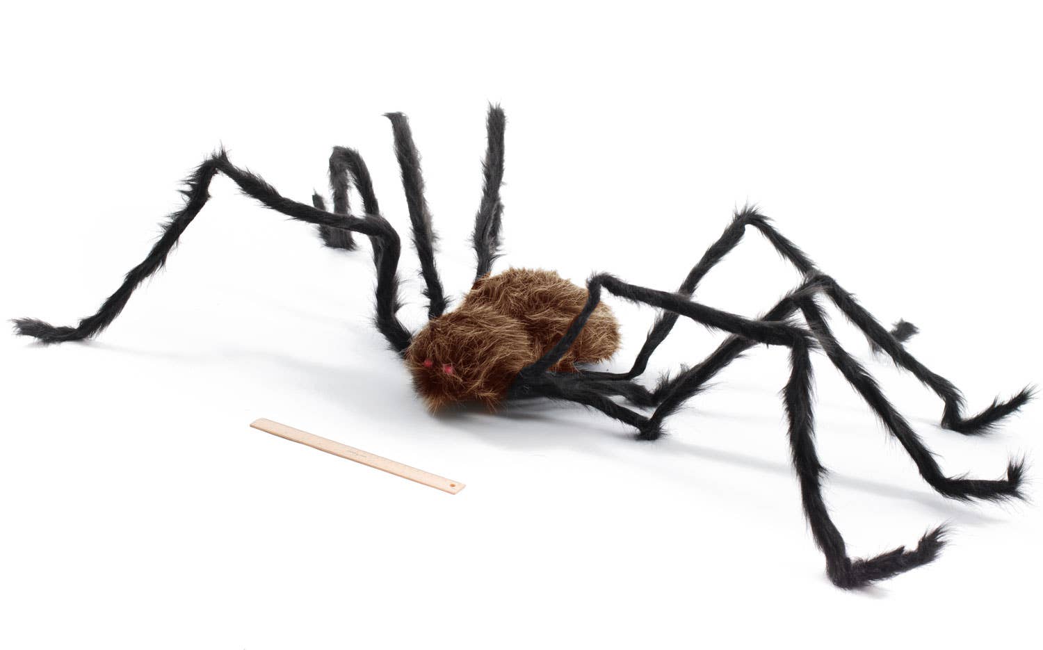 Giant Dark Brown and Black Spider Halloween Haunted House Decoration Alternate Image