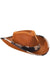 Brown Cowboy Stetson Costume Hat Accessory