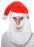 Image of Novelty Santa Costume Hat with Attached Beard