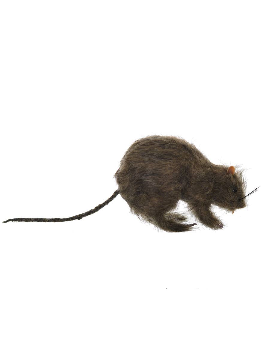 Dirty Brown Large Realistic Rat Halloween Decoration Main Image