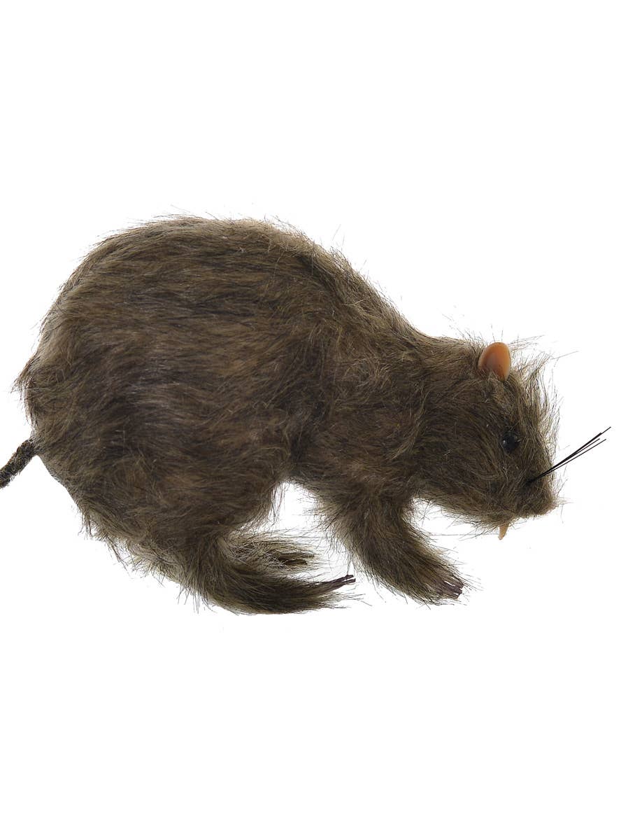 Dirty Brown Large Realistic Rat Halloween Decoration Close Image